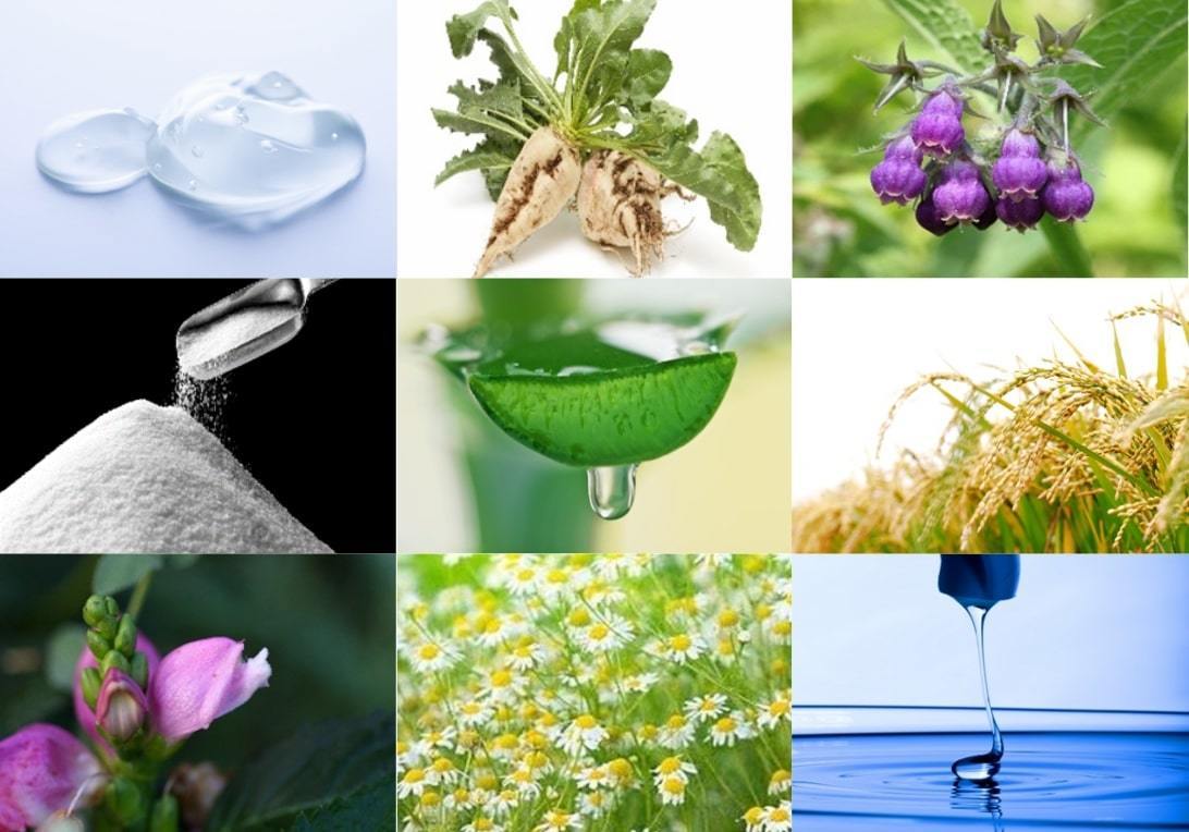 ハイドロヴィーナス