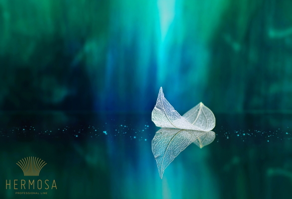 ヴェールトゥメール